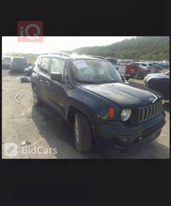 جيب رينيجيد